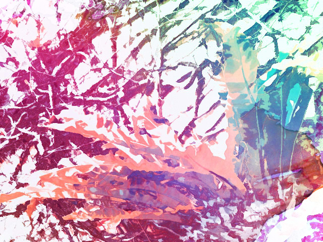 �摜���\������Ȃ����A����ɕ\������镶��